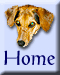Back to Leilah's Laughs home page